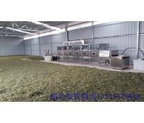 细品茶香 从茶园到茶杯的四季流转