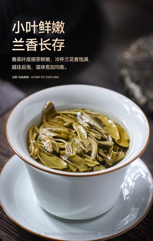 古陌茶叶云南普洱茶生茶饼无量系列迷帝贡茶2022年春茶现货tmallcom